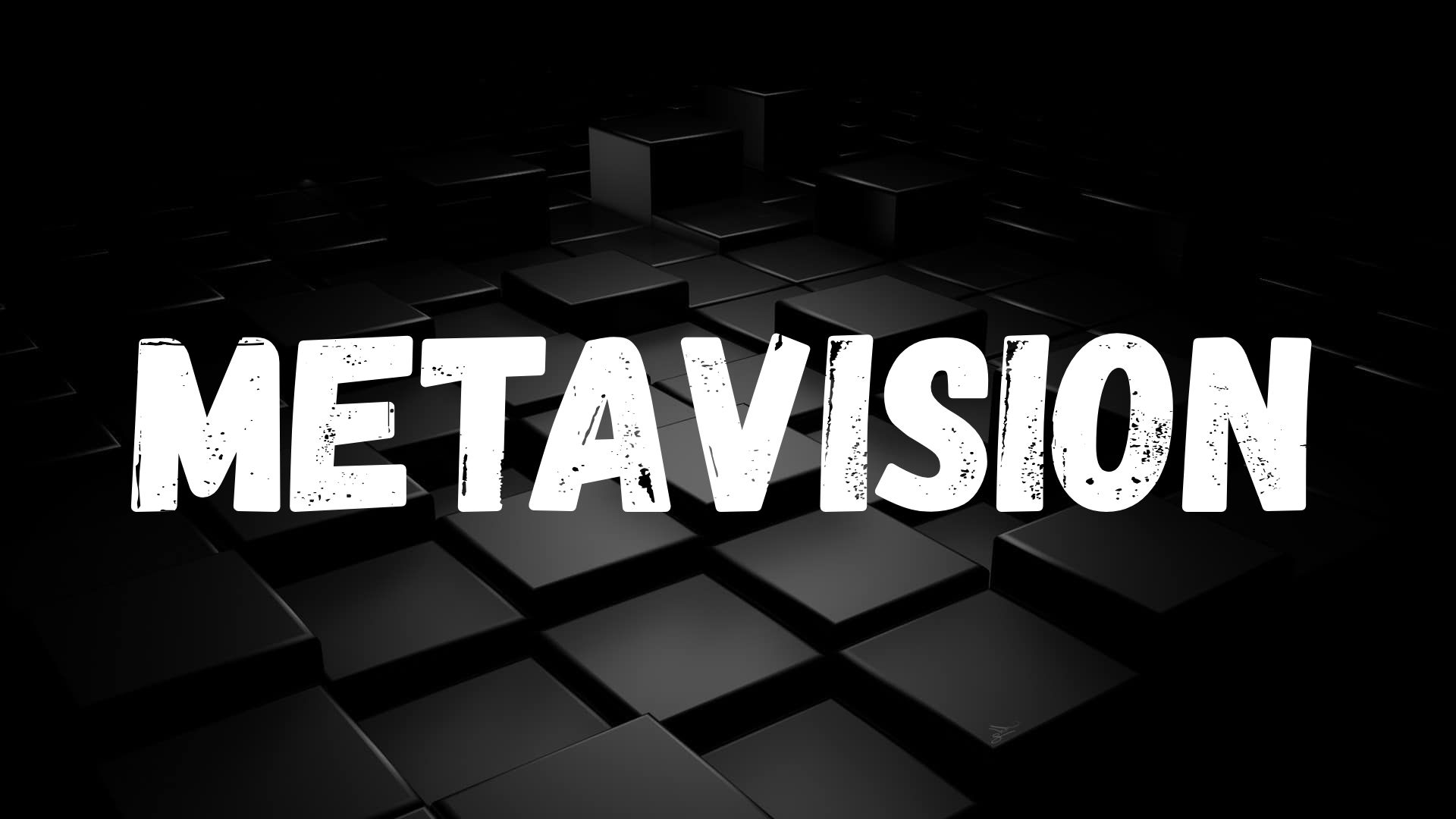Metavision